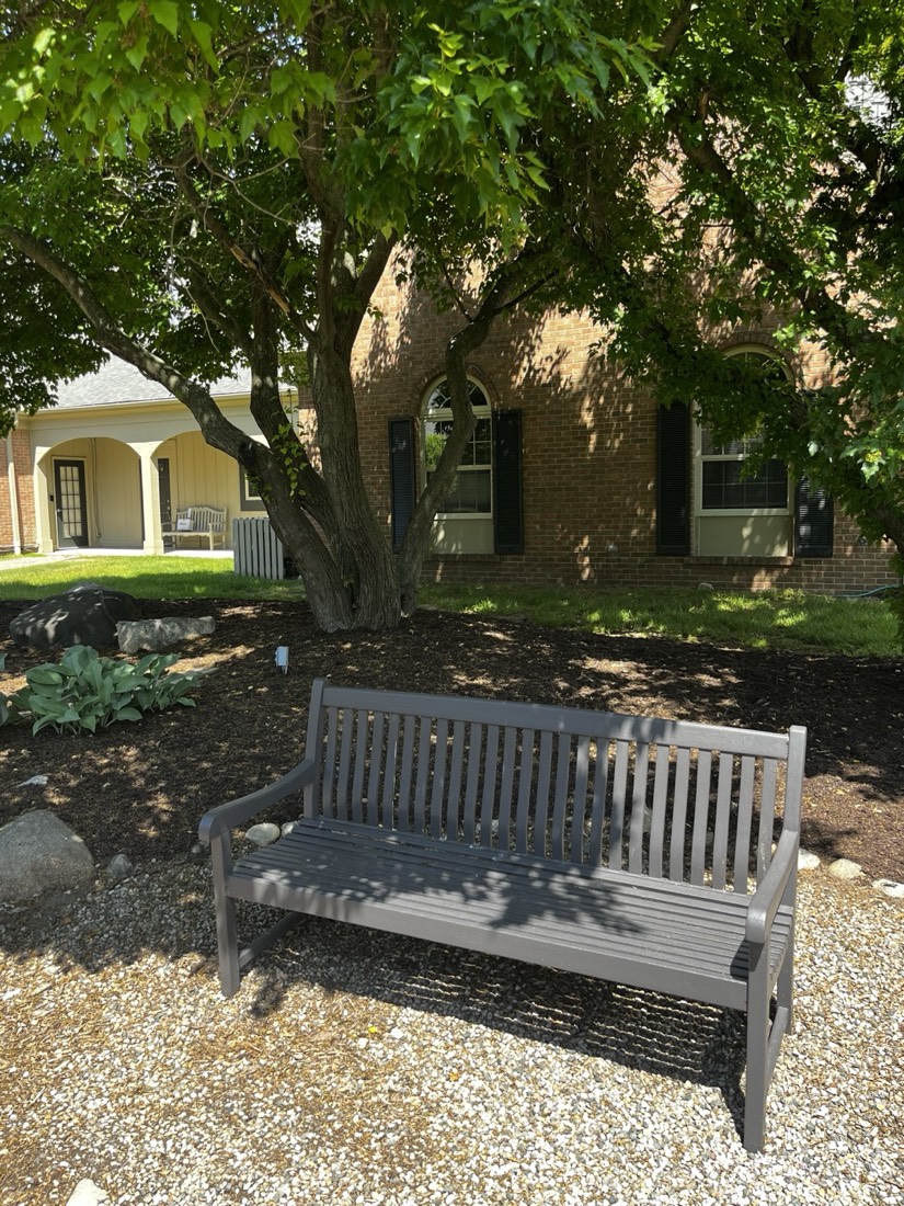Garden bench beneath a shade tree outside the office